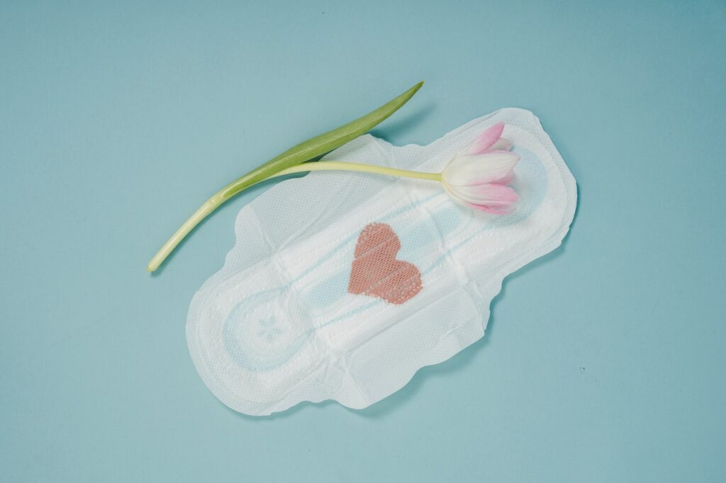 serviette menstruelle lavable bio
